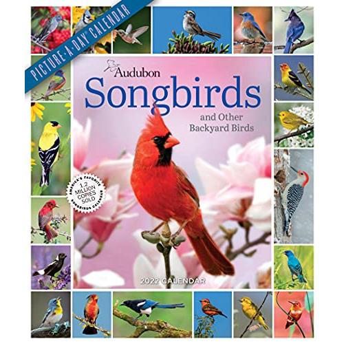 2022 Audubon Songbirds and Other Backyard Birds