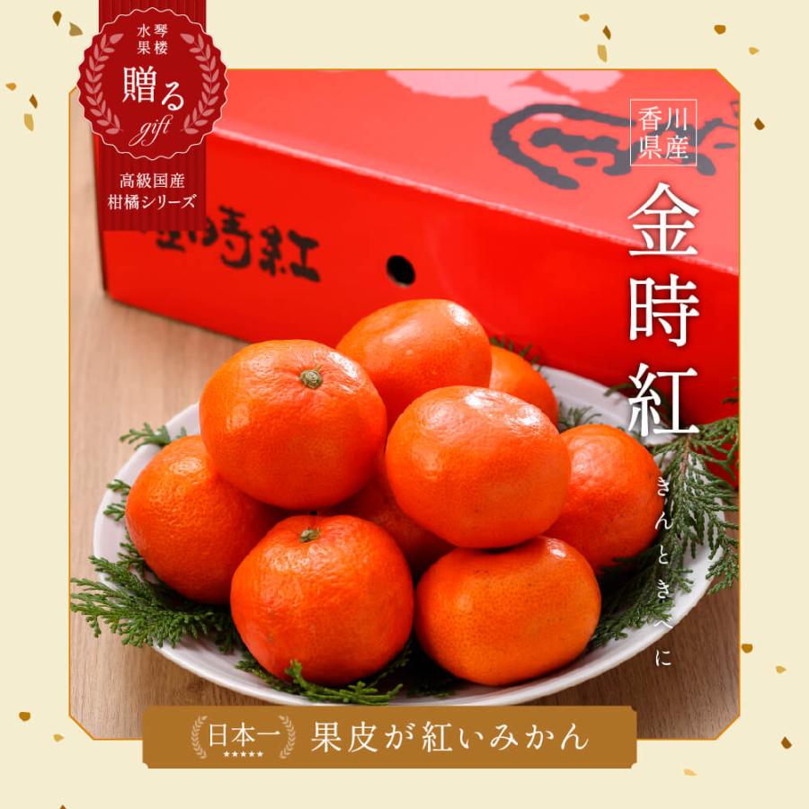 (12月上旬頃より発送) 香川県産 金時紅みかん 秀品 S〜Mサイズ 2.5kg 化粧箱入り みかん 香川 フルーツ お歳暮 ギフト