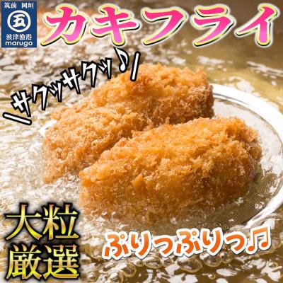 ふるさと納税 岡垣町 サクサクッ!国産大粒カキフライ20粒(約500g)(岡垣町)全6回