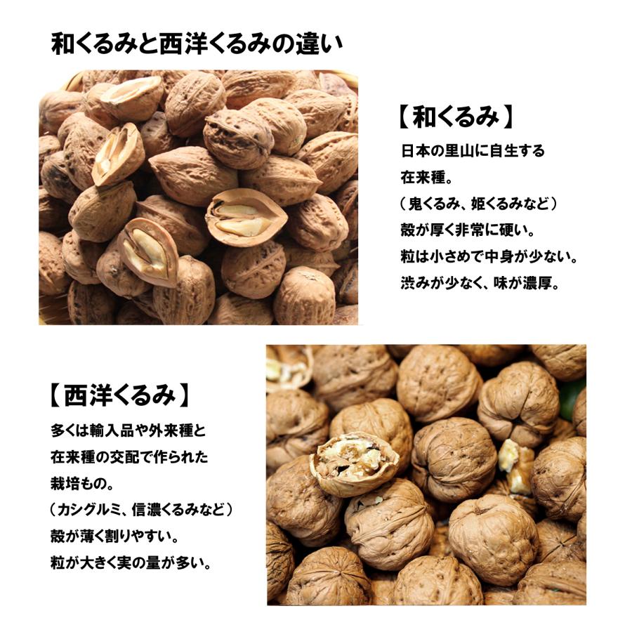 くるみ 1kg 国産 殻付き 令和5年産 山形県産 鬼くるみ オニグルミ 和くるみ 送料無料（一部地域を除く）