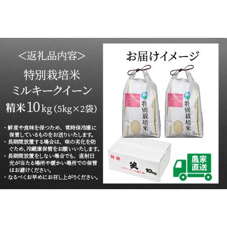 ふるさと納税 特別栽培米 ミルキークイーン 精米 5kg×2袋（計10kg） 農薬不使用 化学肥料不使用 ／ 高品質 鮮度抜群 福.. 福井県あわら市