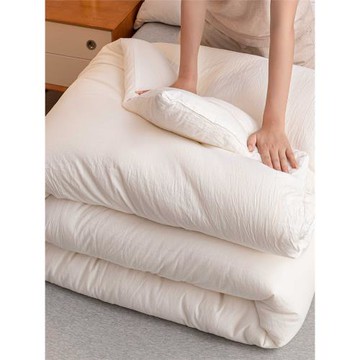 大豆纖維被子冬被棉被芯宿舍單人學生春秋被冬季加厚保暖鋪墊被褥