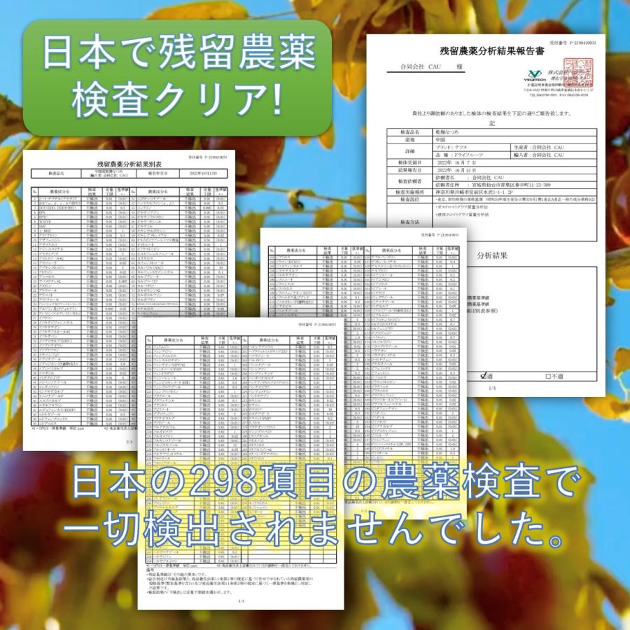 特大なつめ 900g  袋 無添加 乾燥ナツメ ドライフルーツ 大棗 日本で298項目の農薬検査で一切不検出 漢方薬膳食材 幸せなつめ習慣 送料無料