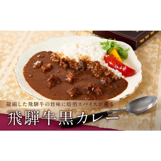 ふるさと納税 岐阜県 高山市 喜八郎謹製・飛騨牛黒カレー 山一商事 EN001