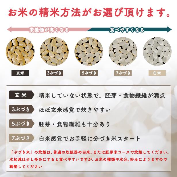 新米！令和5年産　秋田県産 あきたこまち 5ｋｇ 米びつ当番プレゼント付き 選べる精米方法