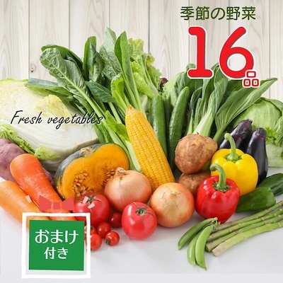 16品 野菜セット 野菜詰め合わせ 野菜 野菜詰合せ