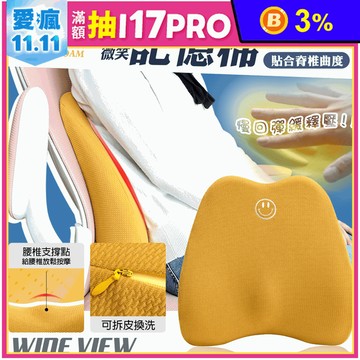 【WIDE VIEW】微笑人體工學透氣記憶棉腰靠枕墊(MJ6298)