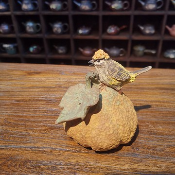 火冠戴菊磨墨水滴