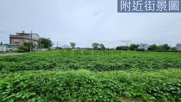 專任吉安都內方正臨雙面路美農地14F254｜花蓮縣吉安鄉福興段