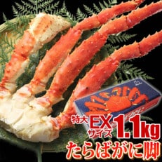  たらばがに 脚 EXサイズ 1.1kg×1本  かに 蟹