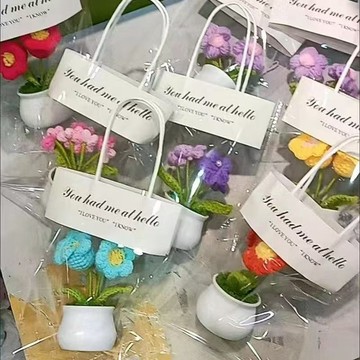 透明手提袋 貼紙手提袋 透明飾品袋 禮品袋 打包袋 石膏娃娃手提袋 盆栽 針織花 鮮花包裝袋 透明手提袋