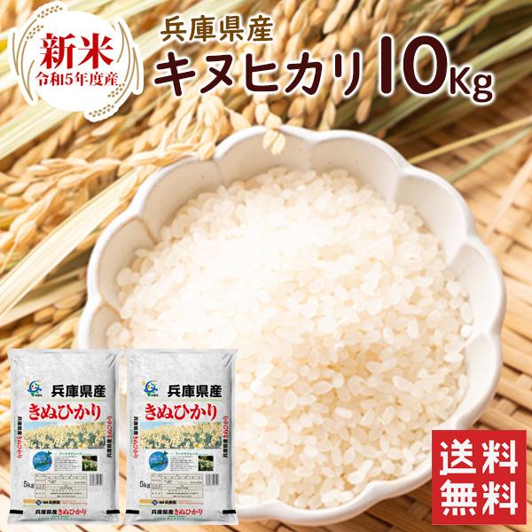 新米 兵庫県産キヌヒカリ 10kg（5kg×2袋）  送料無料 令和5年産 キヌヒカリ 精米 お米 米 兵庫県産 10kg（北海道・沖縄別途送料）（配達日・時間指定は不可）