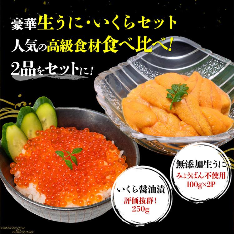 ウニとイクラのセット 無添加生うに 200g 訳あり 小粒いくら 250g 究極Aグレード生ウニ 海鮮丼 優良配送 食品 お歳暮 ギフト 10%クーポン