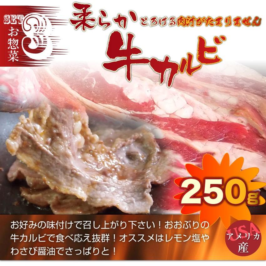 焼肉 牛肉 肉 カルビ三昧セット 5種のカルビ 焼き肉 カルビ ソーセージ BBQ 福袋 お歳暮 ギフト 食品 プレゼント キャンプ キャンプ飯