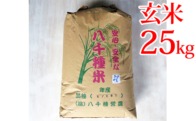 兵庫県福崎町産 ひのひかり 八千種米25kg 玄米 兵庫県認証食品（うるち米）兵庫推奨ブランド