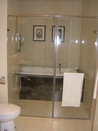 【麗室衛浴】LS-1型夾具門/一字二片式 8mm強化玻璃淋浴拉門(不銹鋼絞鏈)