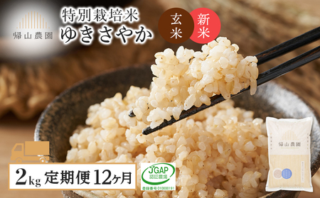 特別栽培米産地直送 玄米 ゆきさやか 2kg×12回 《帰山農園》