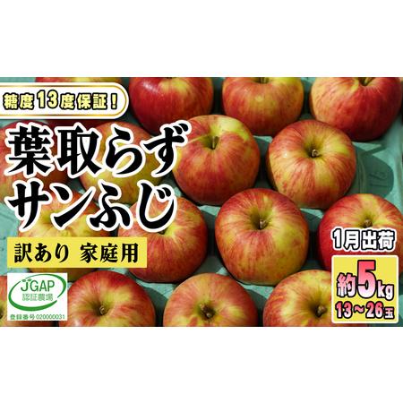 ふるさと納税 1月発送家庭用 葉取らず サンふじ 約5kg 青森県鶴田町