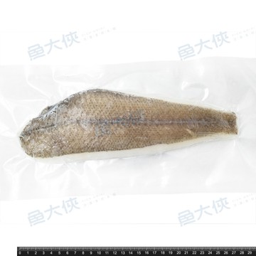 生凍-箭齒鰈魚清肉片(200g/片)#劍齒鰈-2E1A【魚大俠】FH092