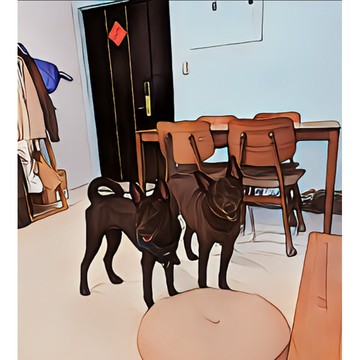 運費補差額🐕🐕🐕🐕🐕🐕