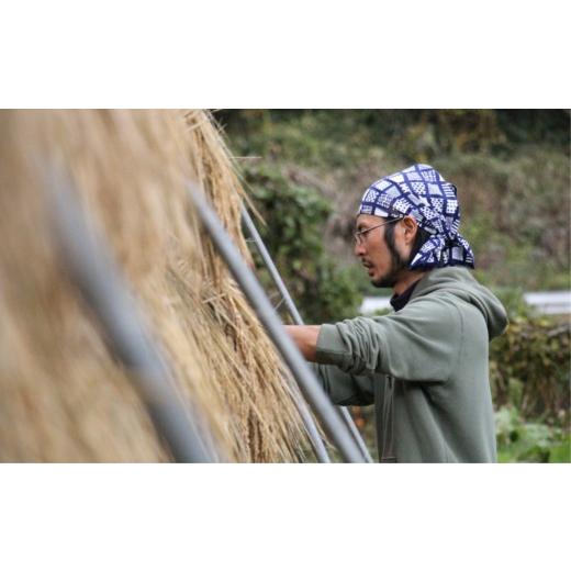 ふるさと納税 島根県 雲南市 旬の自然農野菜おまかせセットB