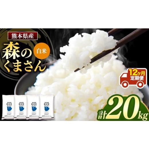 ふるさと納税 熊本県 玉名市 森のくまさん 白米 20kg （5kg×4袋）×12回