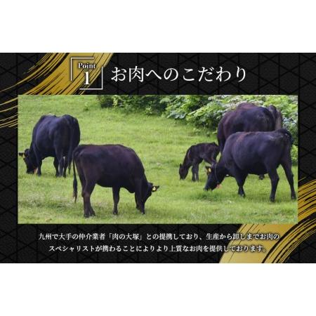 ふるさと納税 肉 長崎和牛 サーロイン ステーキ 250g×2枚 計500g 牛肉 極上 赤身 国産牛肉 バーベキュー 冷凍   サンクスラボ   長崎県 雲.. 長崎県雲仙市