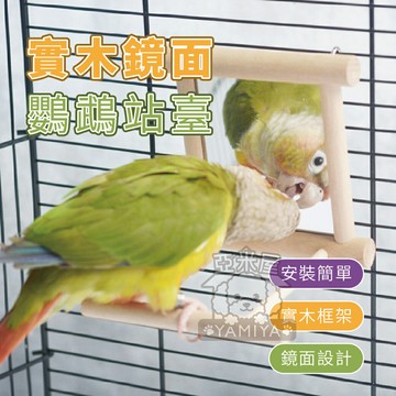 實木鏡面鸚鵡站臺 鳥用鏡子 鏡子站架 鏡子站台 懸掛式木質鏡面鳥站架 鸚鵡玩具 鸚鵡 文鳥 鳥用品【亞米屋Yamiya】