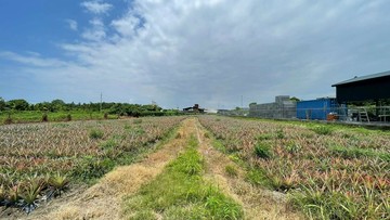 低於行情｜潮州3.49分有電農地｜屏東縣潮州鎮崙潮段