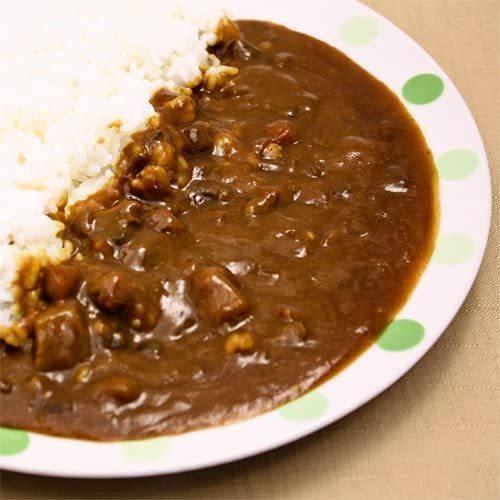 レトルトカレー ビーフカレー 石垣黒毛和牛ビーフカレー 180g×10個 ナンポー ご当地カレー 沖縄土産