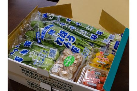 山陽小野田の野菜三昧（冬セット）