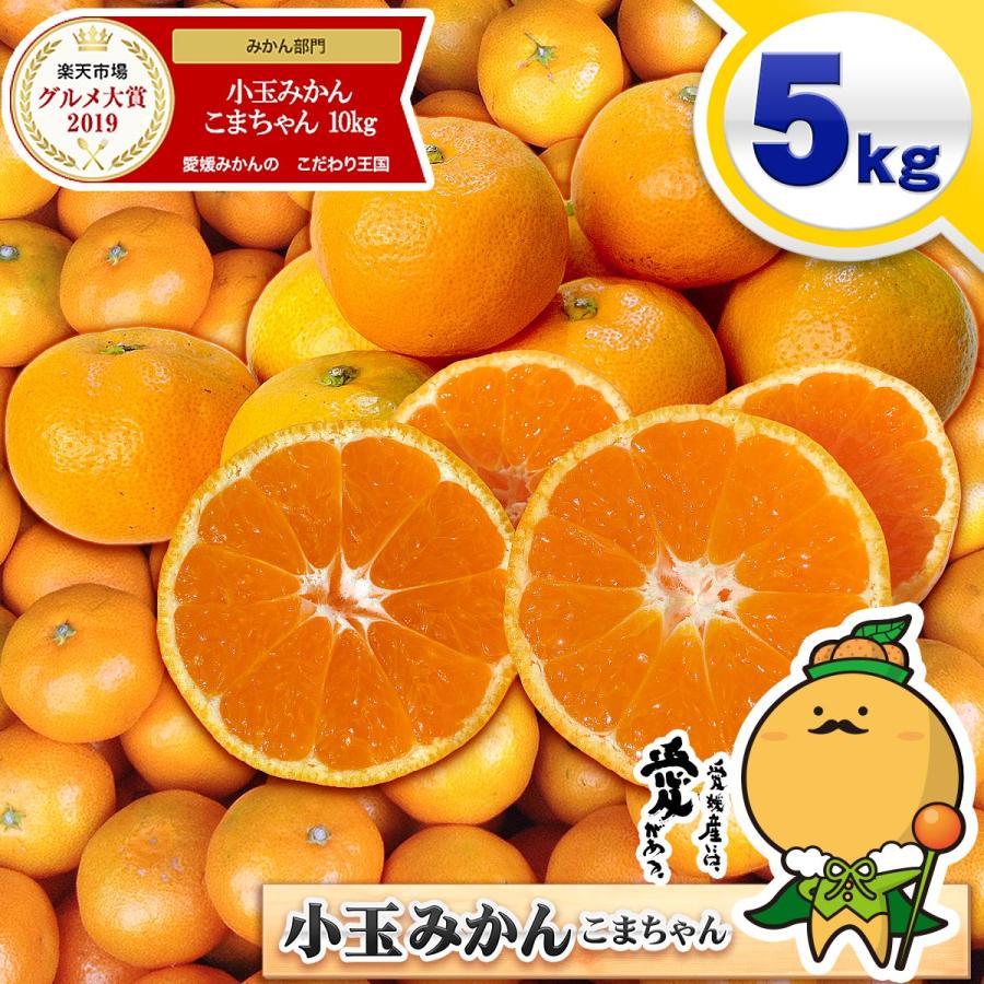 愛媛県産 小玉 みかん こまちゃん 5kg 家庭用 自宅用 訳あり 愛媛みかん 送料無料 プチ 小粒 箱買い 蜜柑 温州 早生 南柑 20号 5キロ