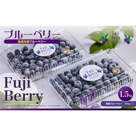 ふるさと納税 Fuji Berry 急速冷凍ブルーベリー1.5kg NSAA009 山梨県鳴沢村