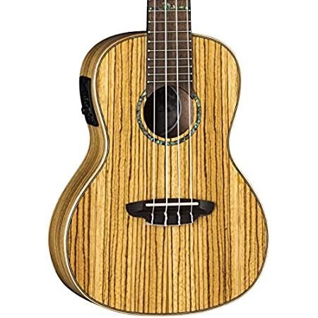 Luna High Tide Concert Acoustic Electric Ukelele with Gigbag, Zebrawood