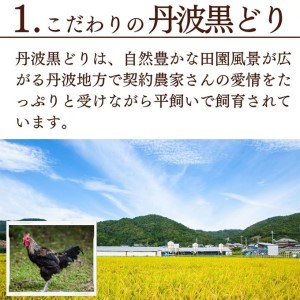 地鶏 丹波 黒どり ササミ 2kg 鶏肉 冷凍 丹波山本 高タンパク低カロリー たんぱく質 ボリューム 筋トレ チキン 蒸し鶏 キャンプ BBQ アウトドア