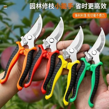 🔥高效工具​🔥花剪枝園藝剪刀 修枝剪 省力修剪樹枝 果樹竹籤園林花卉專用花藝剪子