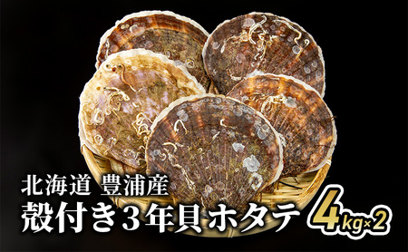 北海道 豊浦町 殻付き 三年貝 ホタテ 4kg ×2箱 ほたて 貝 海鮮 海 帆立 噴火湾