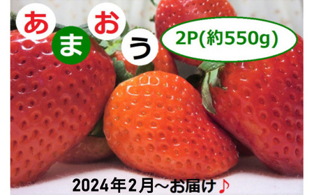 2G1福岡県産「あまおう」2P　～2024年2月からお届け～