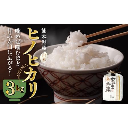 ふるさと納税 八代市産 ヒノヒカリ 3kg 令和5年産 米 熊本 送料無料 熊本県八代市