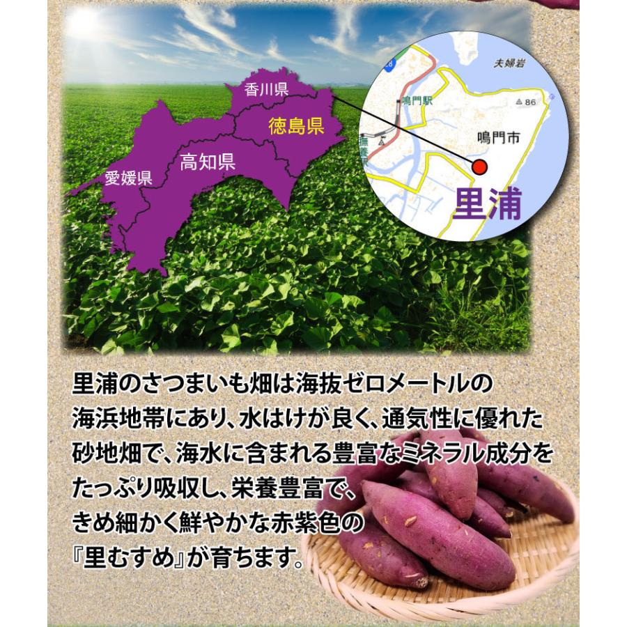 ギフト さつまいも なると金時 里むすめ 秀品 生芋 2Sサイズ 約60g〜90ｇ 約56〜84本 鳴戸市里浦 産地直送 5kg×1箱 鳴門金時 送料無料 J常