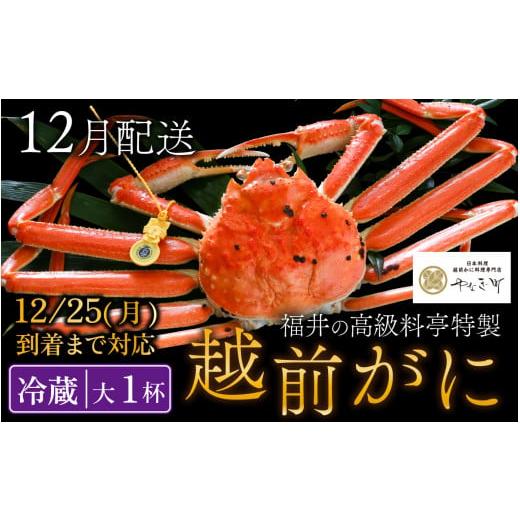 ふるさと納税 福井県 福井市 ＜12月発送分＞蟹好きにおすすめ！老舗カニ専門店の「越前ずわいがに」900g〜1.1kg×1杯 【 越前がに 越前ガニ 越前 かに ずわい…