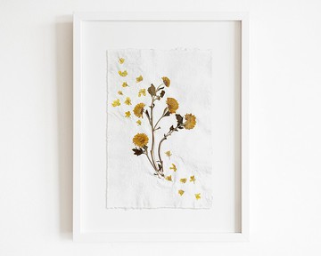 黃色迷你壓花菊花綠色植物藝術品手工紙