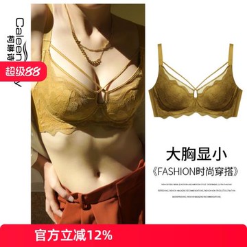 女士法式蕾絲性感大胸顯小薄款聚攏文胸收副乳軟鋼圈超薄款內衣