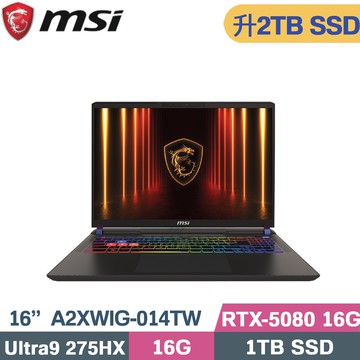 MSI Vector 16 HX AI A2XWIG-014TW (CU9-275HX/16G/2TB/RTX5080-16G/W11/16)特仕