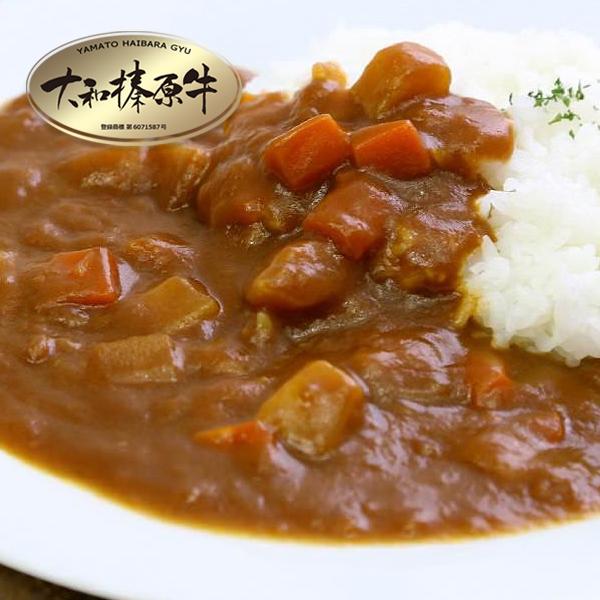 牛肉 黒毛和牛 大和榛原牛 牛すじ カレー 冷凍便