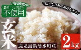 y174 鹿児島県産玄米2kg＜栽培期間中農薬化学肥料不使用＞粘りのある甘みのあるお米！