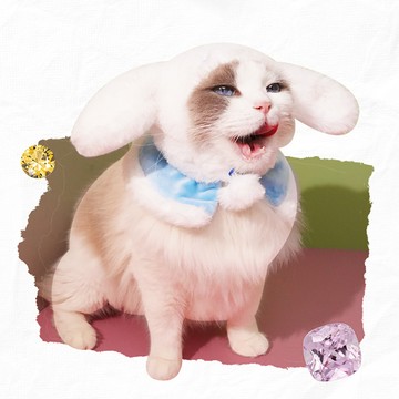 Sanrio 名媛下午茶寵物頭套 隨機一款
