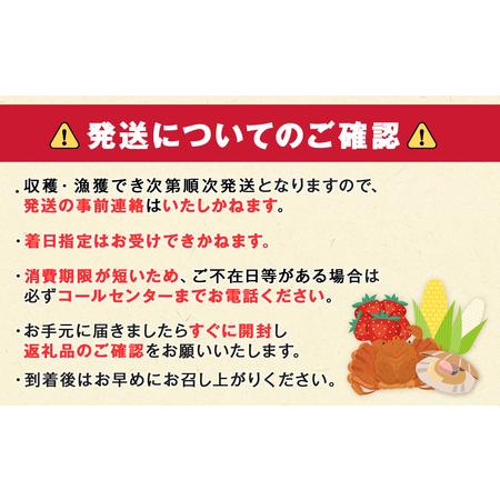 ふるさと納税 北海道 千歳産 とうもろこし 430ｇ以上 25本 恵味スター 野菜 トウモロコシ 甘い 旬 夏 BBQ ＜ファーム安澤＞ 北海道千歳市