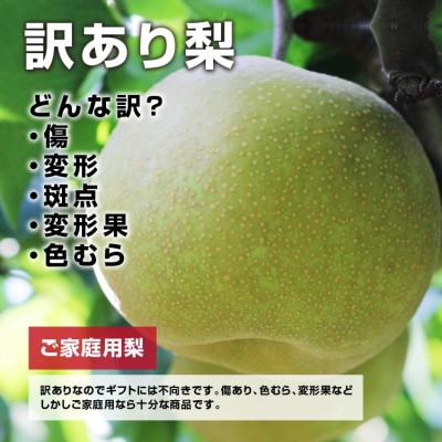 訳あり 梨 10kg 送料無料 長野県産 選べる品種！ 幸水 豊水 二十世紀 ...