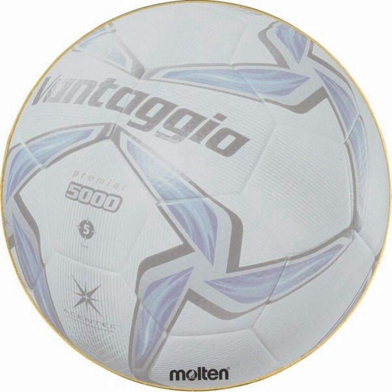寄せ書き用 ボール型サイン色紙 ヴァンタッジオ Molten モルテン サッカーフットサルアクセサリーxa0110 Fv 通販 Lineポイント最大0 5 Get Lineショッピング